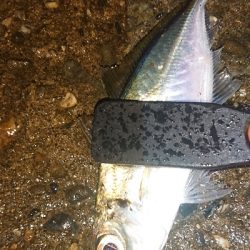 寒くなって厳しくなった