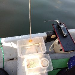 気温暑く釣果寒い