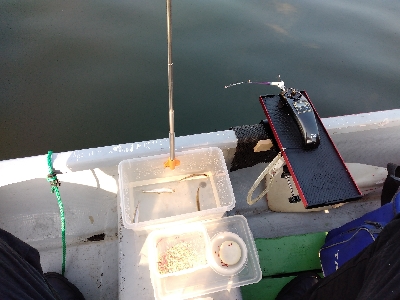 気温暑く釣果寒い