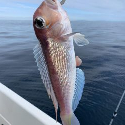 マイボート釣行