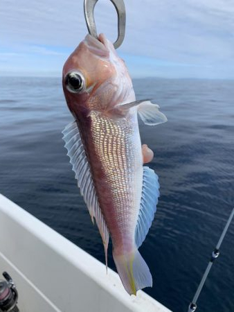 マイボート釣行