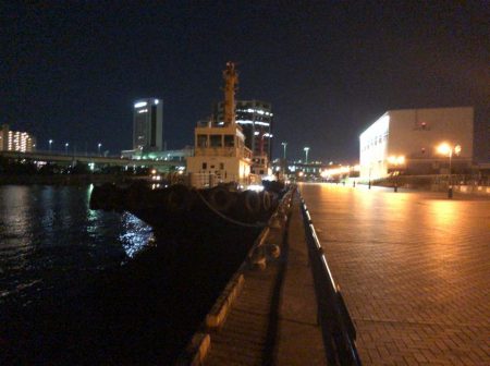 アジが釣りたくて