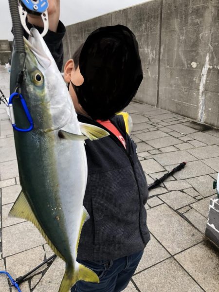 スズメダイ、ありがとう。