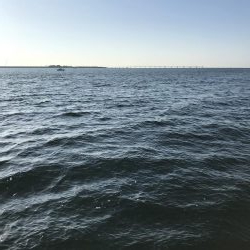 飲ませでメジロ