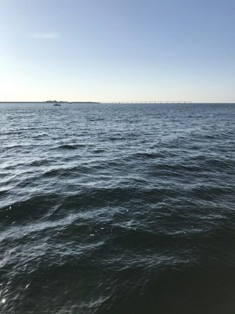 飲ませでメジロ