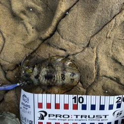 嬉しいかったけど…