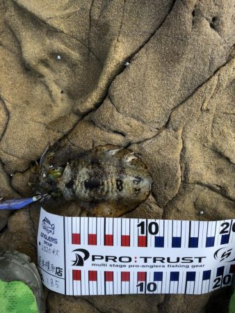 嬉しいかったけど…