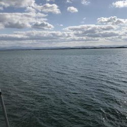 久しぶりの夢港