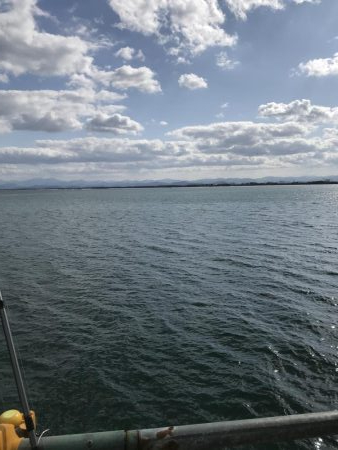 久しぶりの夢港