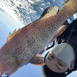 11／8オフショア釣果