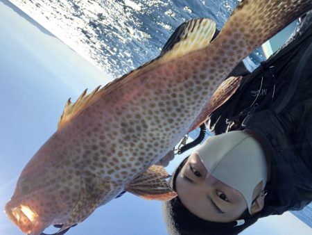 11／8オフショア釣果