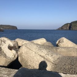 加賀港（桂島）での釣行