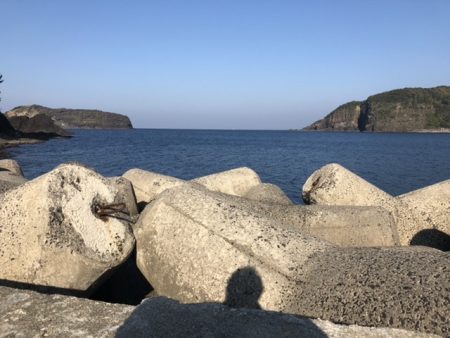 加賀港（桂島）での釣行