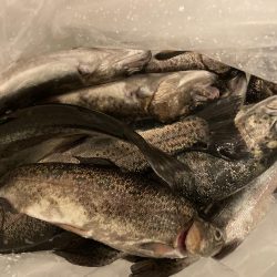 管理釣り場なめてました