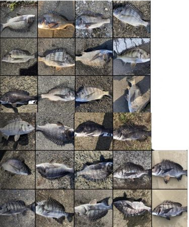 イチノ兄弟、釣果！