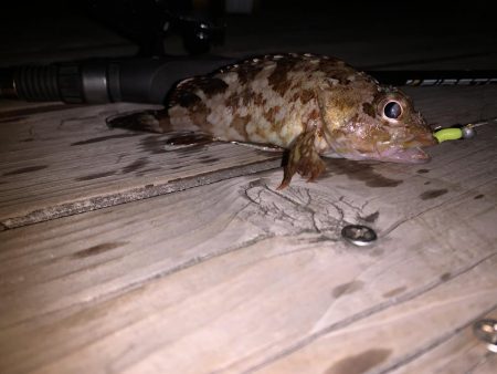 ライトゲーム！フォールで連発！