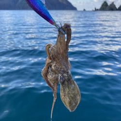 今シーズン最終戦！