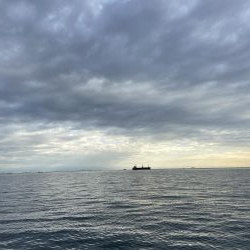 今は泳がせのが熱いんかな