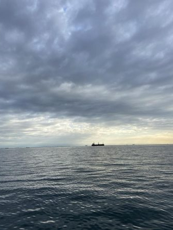 今は泳がせのが熱いんかな