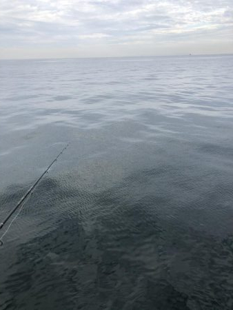 岸和田一文字でハマチ45cm