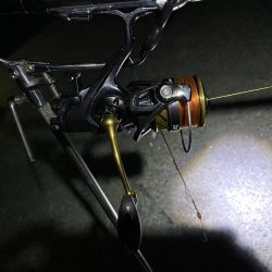 ヤエンに行ったのに