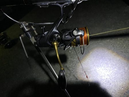 ヤエンに行ったのに