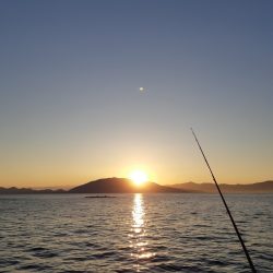 イカの気持ち６ 第１部