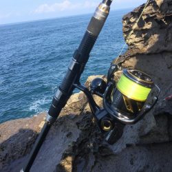 地磯ライトショアジギング、ナブラ打ち