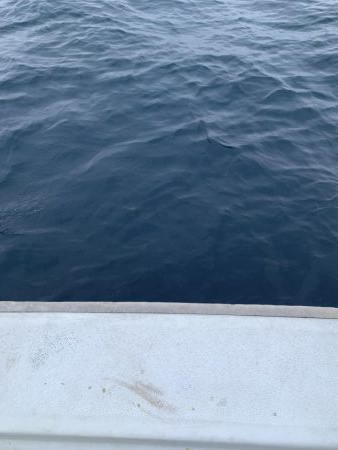 天草付近でのタイラバ