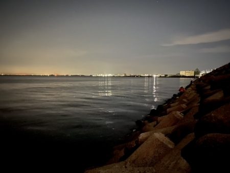 育ってきてますね