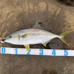 リベンジ成功！