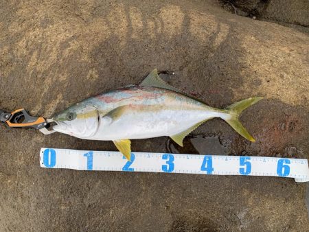 リベンジ成功！