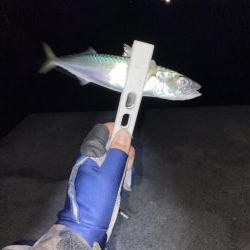 1週間ぶりの浜田市へ、アジング