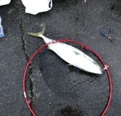 抜群の釣り日和