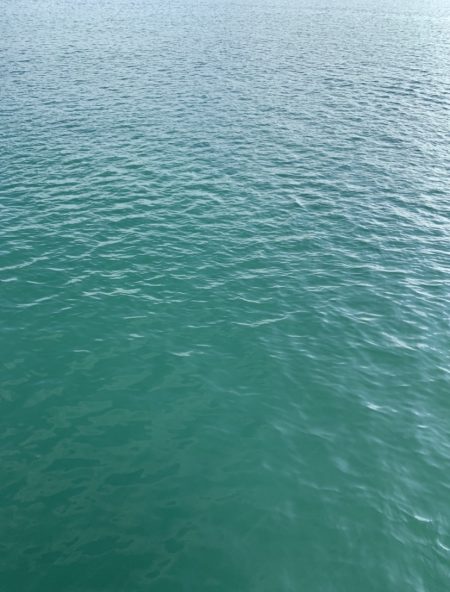 アジングでまさかの…