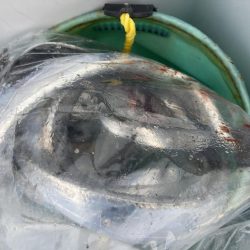 お気に入りのポイント