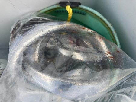 お気に入りのポイント