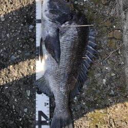 イチノ兄弟、釣果！