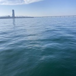 泉佐野一文字 ショアジギング