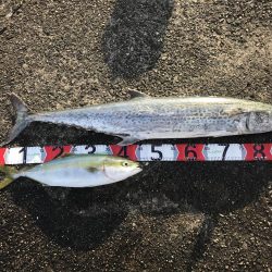 風が強くて厳しいー