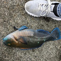 久々のフカセ釣り〜