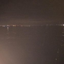 今シーズン初の大サバ！