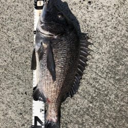 イチノ兄弟、釣果！