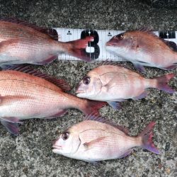 剛剣玉ノ柄　入魂