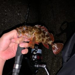 ライトゲーム！！