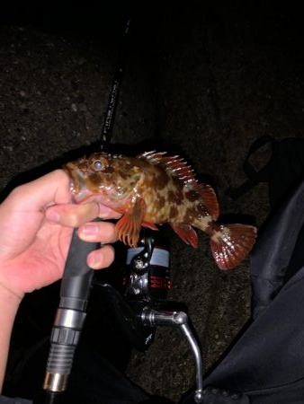 ライトゲーム！！