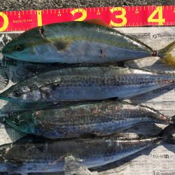 久しぶりに、、