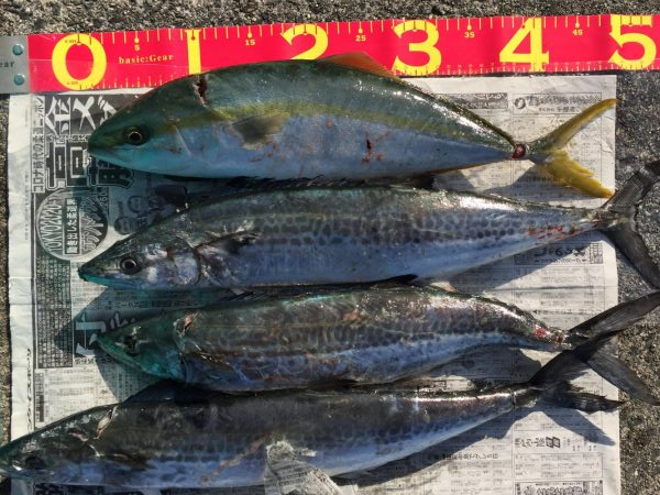 久しぶりに、、