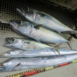 【リタックル】にて神戸沖タチウオジギング