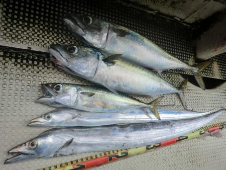 【リタックル】にて神戸沖タチウオジギング